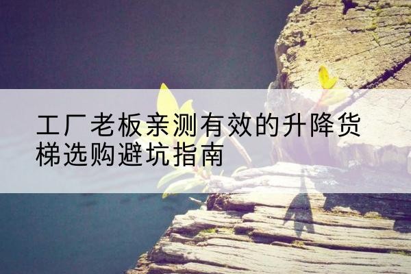 尧都升降货梯怎么选-工厂老板亲测有效的升降货梯选购避坑指南