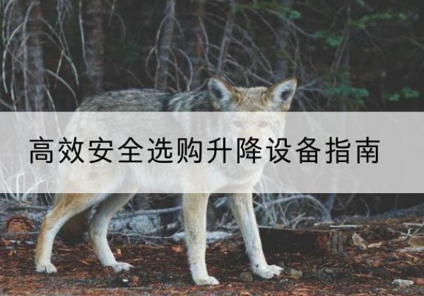尧都升降货梯厂家推荐-*安全选购升降设备指南