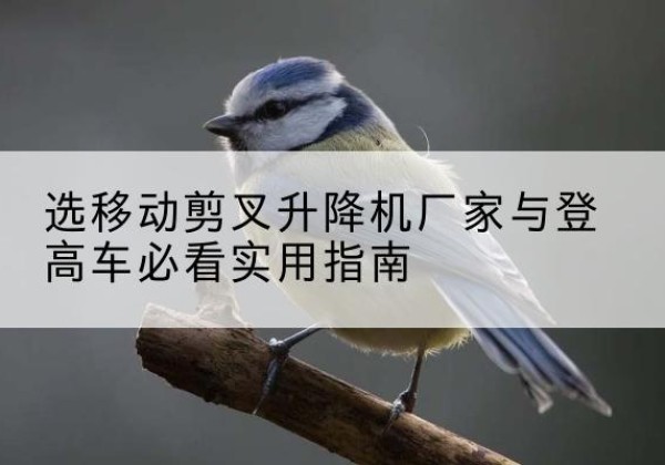尧都电动升降机厂家-选移动剪叉升降机厂家与登高车必看实用指南